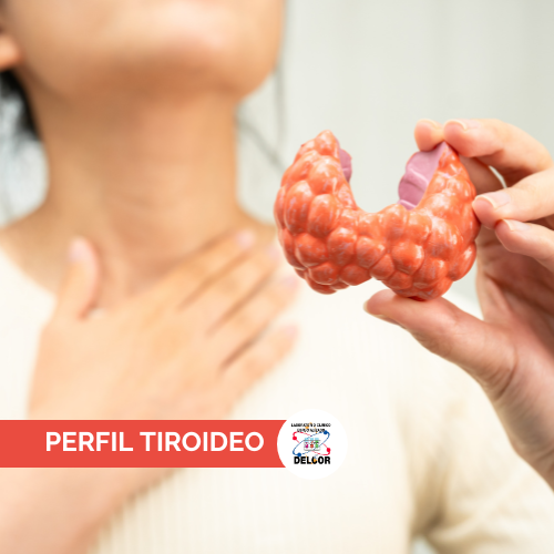 Perfil Tiroideo (T3, T4, TSH) en Chorrera | Pruebas Hormonales en B/.48.00