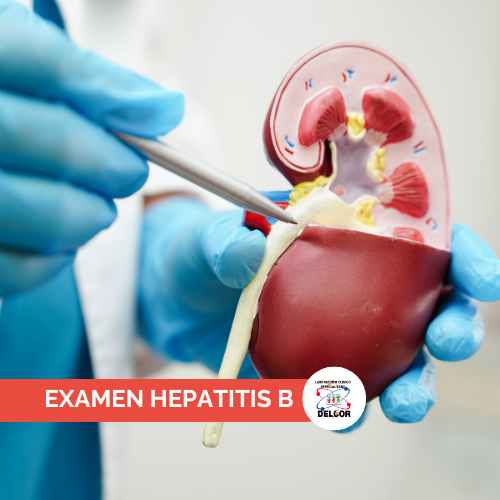 Examen Hepatitis B Chorrera Tu Laboratorio para PrevenciÃ³n