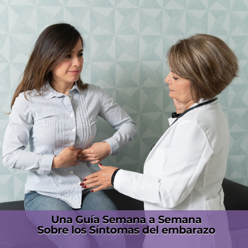 Una GuÃ­a Semana a Semana Sobre los  SÃ­ntomas del embarazo: