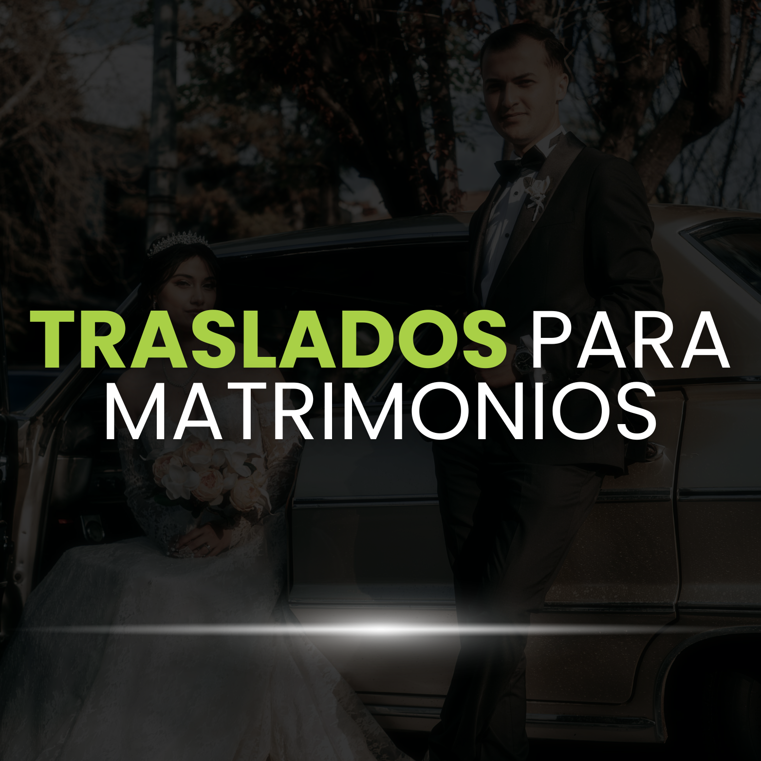 Transporte para Bodas en Panamá: Logística de Lujo para sus Invitados