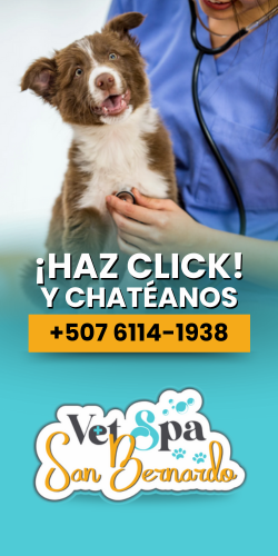 publicidad