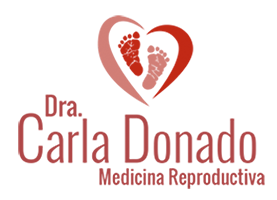 Dra. Carla Donado | Ginecologa Obstetra 